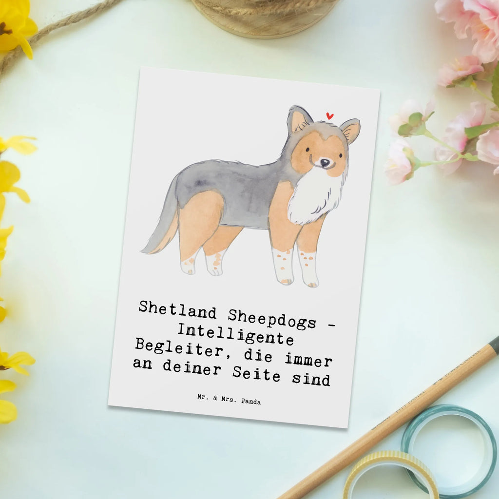 Postkarte Shetland Sheepdog Freund Postkarte, Karte, Geschenkkarte, Grußkarte, Einladung, Ansichtskarte, Geburtstagskarte, Einladungskarte, Dankeskarte, Ansichtskarten, Einladung Geburtstag, Einladungskarten Geburtstag, Hund, Hunderasse, Rassehund, Hundebesitzer, Geschenk, Tierfreund, Schenken, Welpe