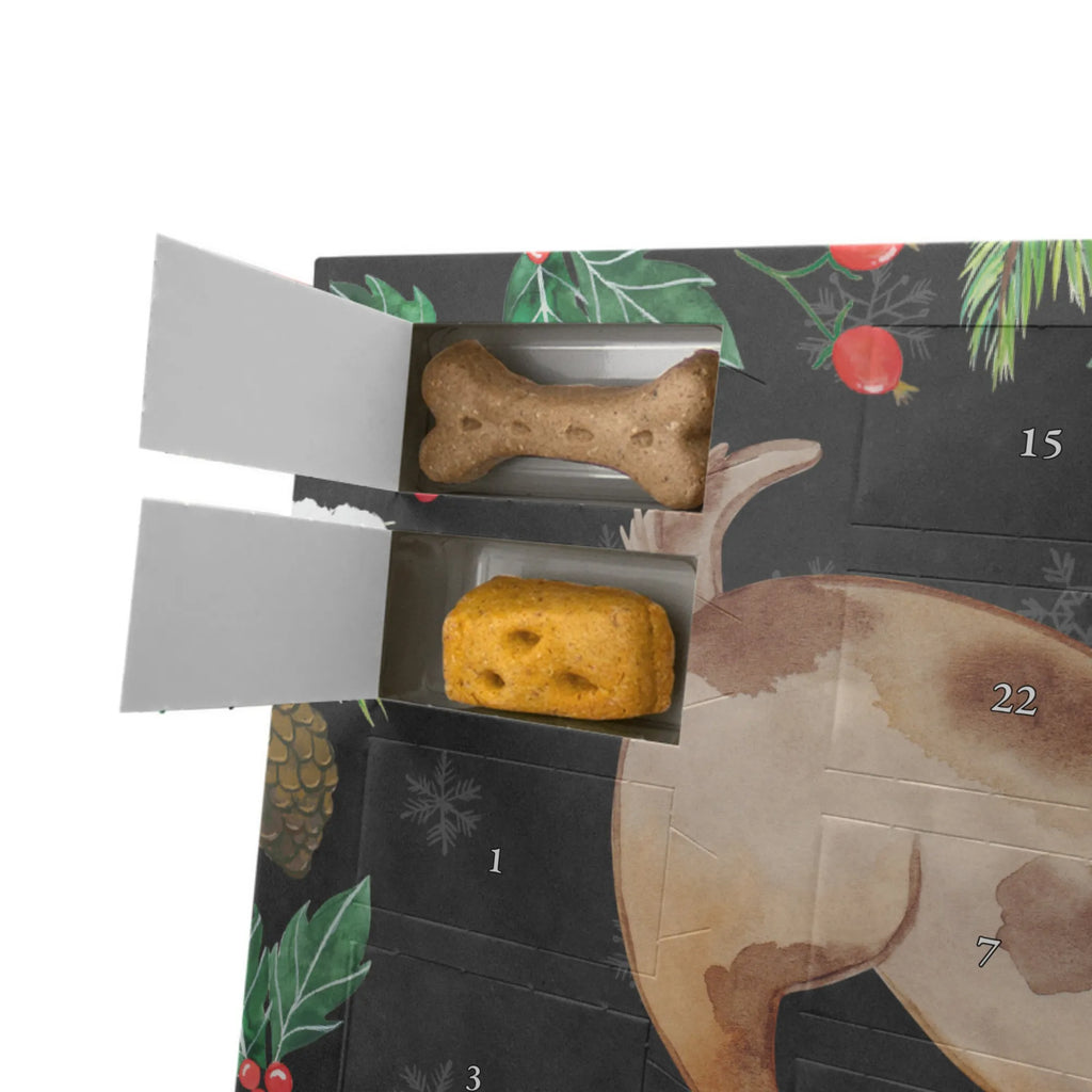 Personalisierter Hunde Adventskalender Hund Marienkäfer Hunde Adventskalender, Hund, Hundemotiv, Haustier, Hunderasse, Tierliebhaber, Hundebesitzer, Sprüche, Hunde, Hundespruch, Marienkäfer, Mischling, Mischlinghund