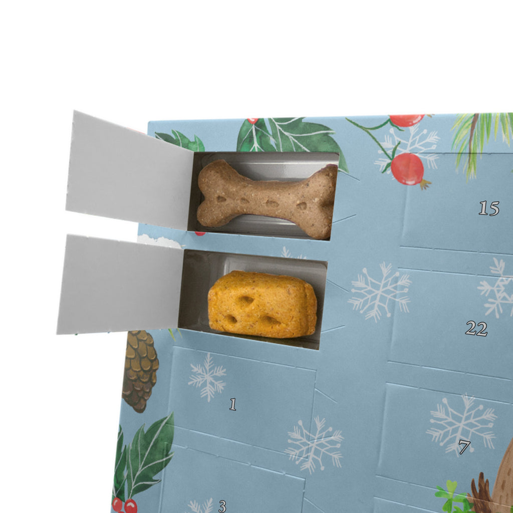 Personalisierter Hunde Adventskalender Hund Kleeblatt Hunde Adventskalender, Hund, Hundemotiv, Haustier, Hunderasse, Tierliebhaber, Hundebesitzer, Sprüche, Kleeblatt, Glück, Tagträume, Motivation, Neuanfang, Geschenk, Glücksbringer, Selbstliebe, Achtsamkeit