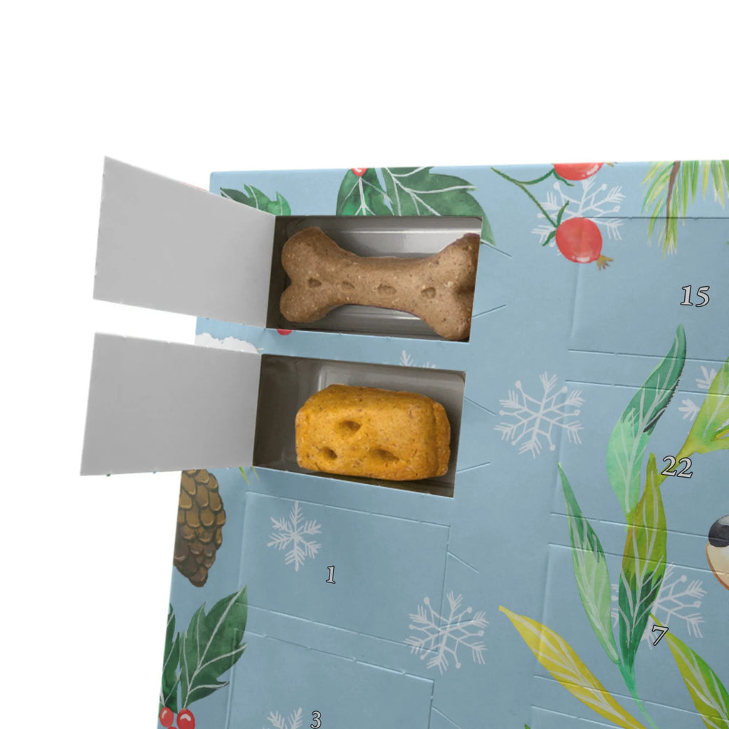 Personalisierter Hunde Adventskalender Hund Blumen Hunde Adventskalender, Hund, Hundemotiv, Haustier, Hunderasse, Tierliebhaber, Hundebesitzer, Sprüche, Ranke, Therapie, Selbsttherapie, Hundeliebe, Hundeglück, Hunde