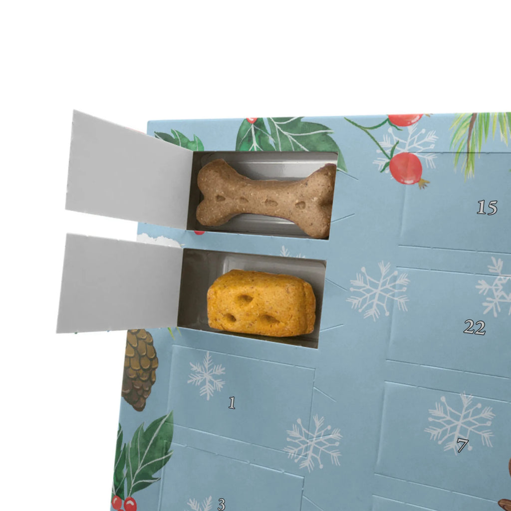 Personalisierter Hunde Adventskalender Hund Streicheln Hunde Adventskalender, Hund, Hundemotiv, Haustier, Hunderasse, Tierliebhaber, Hundebesitzer, Sprüche, Hunde, Hundeliebe, Hundewelpe, Bauchkraulen