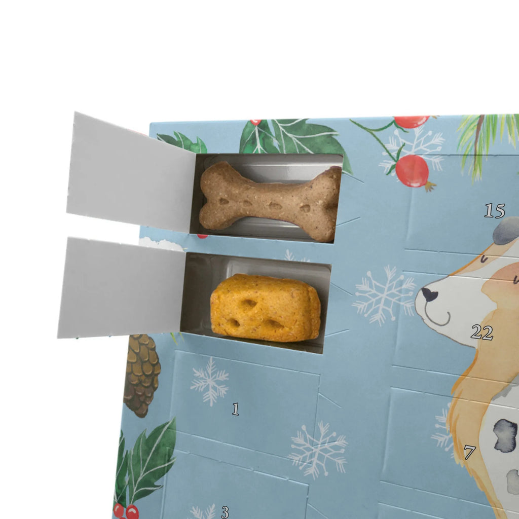 Personalisierter Hunde Adventskalender Hund Australien Shepherd Hunde Adventskalender, Hund, Hundemotiv, Haustier, Hunderasse, Tierliebhaber, Hundebesitzer, Sprüche, Australien Shepherd, Shepherd, Hundeliebe, Familienhund, Spruch