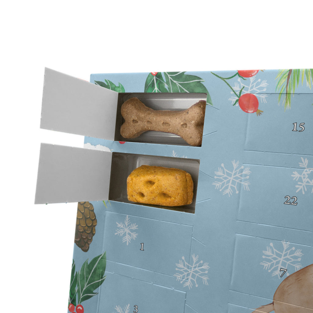 Personalisierter Hunde Adventskalender Hunde Liebe Hunde Adventskalender, Hund, Hundemotiv, Haustier, Hunderasse, Tierliebhaber, Hundebesitzer, Sprüche, Liebe, Hund. Hunde, Kuss, Vertrauen, Kuscheln, Herz