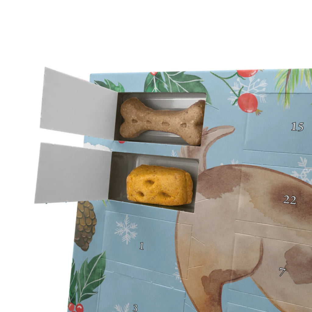 Personalisierter Hunde Adventskalender Hund Marienkäfer Hunde Adventskalender, Hund, Hundemotiv, Haustier, Hunderasse, Tierliebhaber, Hundebesitzer, Sprüche, Hunde, Hundespruch, Marienkäfer, Mischling, Mischlinghund