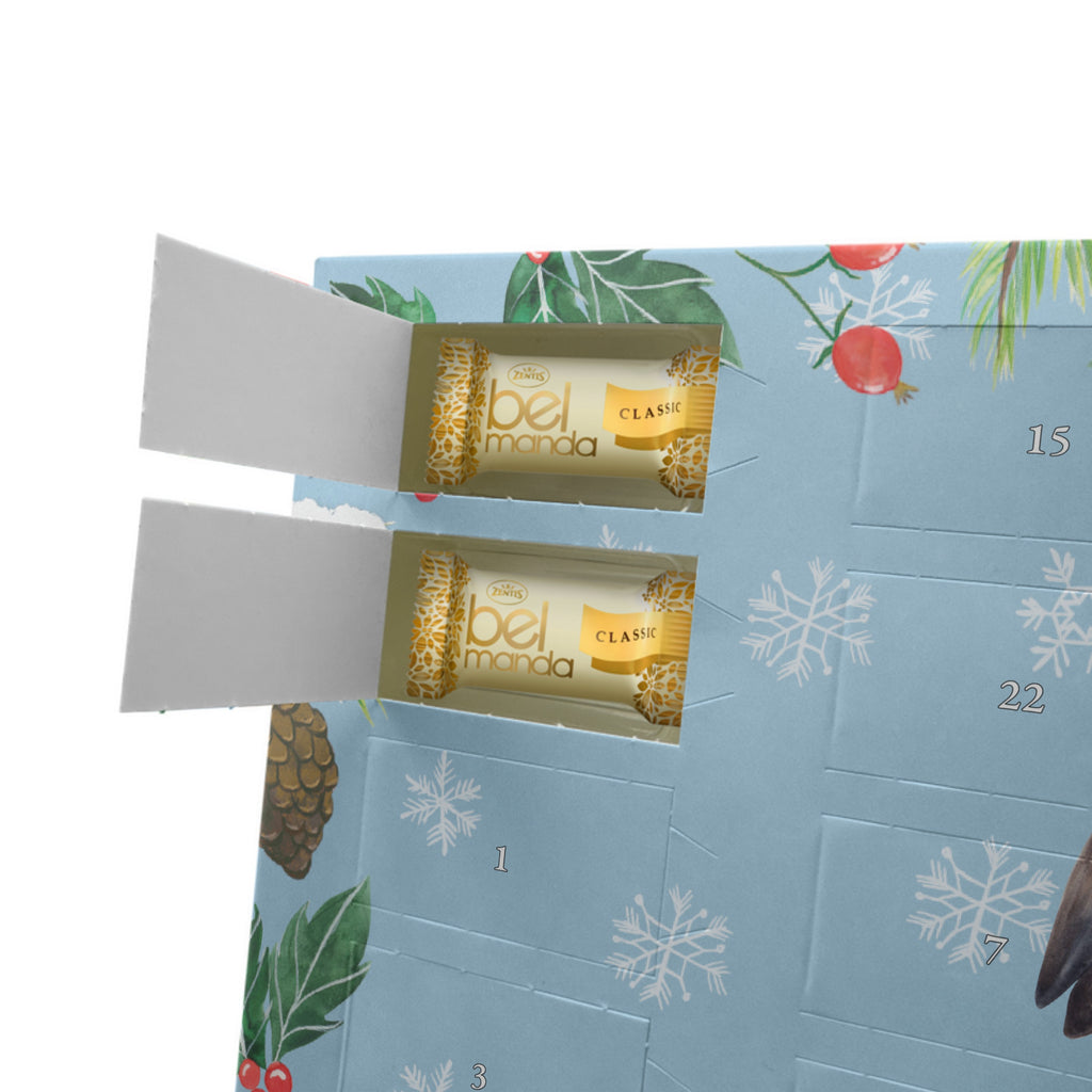 Personalisierter Marzipan Adventskalender Storch Personalisierter Marzipan Adventskalender, Tiermotive, Gute Laune, lustige Sprüche, Tiere, Storch, Störche, Schwangerschaft, Geburt, Mutter, Mütter, Mutter werden, Schwanger, Babybauch, Baby