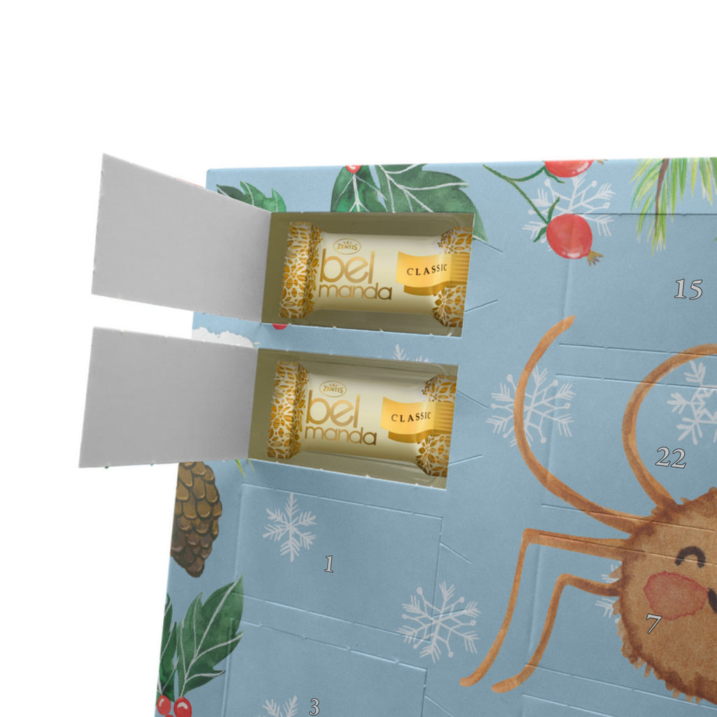 Personalisierter Marzipan Adventskalender Spinne Agathe Motivation Personalisierter Marzipan Adventskalender, Spinne Agathe, Spinne, Agathe, Videos, Merchandise, Motivation, Glück, Liebe, Vertrauen, Dankeschön