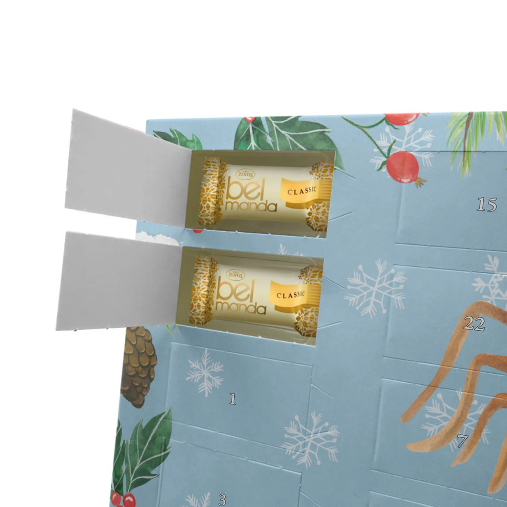 Personalisierter Marzipan Adventskalender Spinne Agathe Teddy Personalisierter Marzipan Adventskalender, Spinne Agathe, Spinne, Agathe, Videos, Merchandise, Freundschaft, Liebesgeschenk, Verliebt, Liebesbeweis, Teddy, Treue, Miteinander, Dankeschön