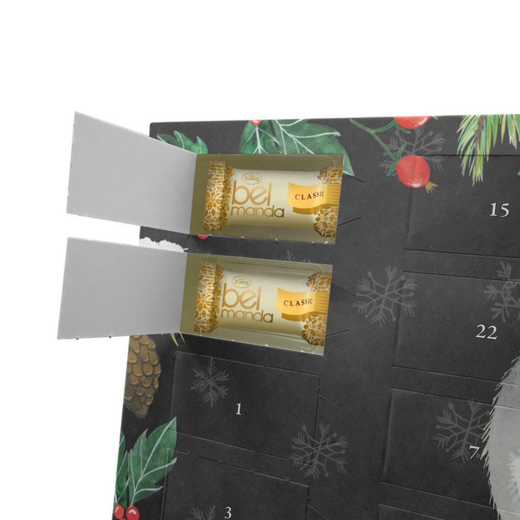 Personalisierter Marzipan Adventskalender Chinchilla Blume Personalisierter Marzipan Adventskalender, Tiermotive, Gute Laune, lustige Sprüche, Tiere, Chinchilla, Chinchillas, Liebeskummer, Kummer, Depressionen, traurig sein, Chaos, Glücklichsein, Büro, Büroalltag