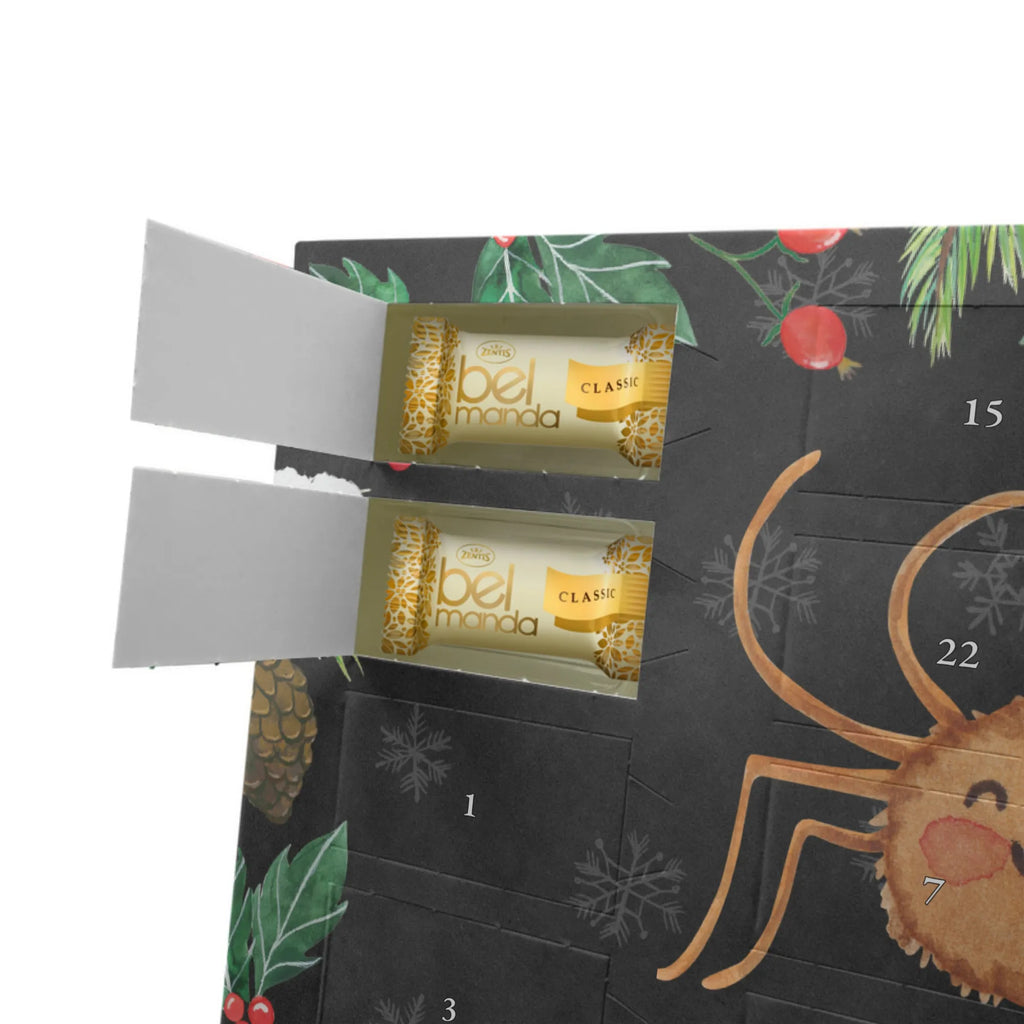 Personalisierter Marzipan Adventskalender Spinne Agathe Motivation Personalisierter Marzipan Adventskalender, Spinne Agathe, Spinne, Agathe, Videos, Merchandise, Motivation, Glück, Liebe, Vertrauen, Dankeschön