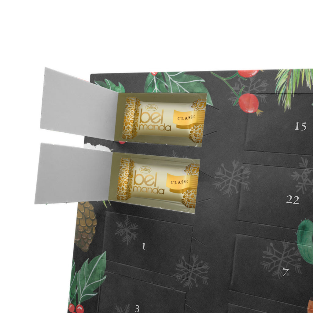 Personalisierter Marzipan Adventskalender Kaktus Sonne Personalisierter Marzipan Adventskalender, Kaktus, Kakteen, Liebe Kaktusliebe, Sonne, Sonnenschein, Glück, glücklich, Motivation, Neustart, Trennung, Ehebruch, Scheidung, Freundin, Liebeskummer, Liebeskummer Geschenk, Geschenkidee