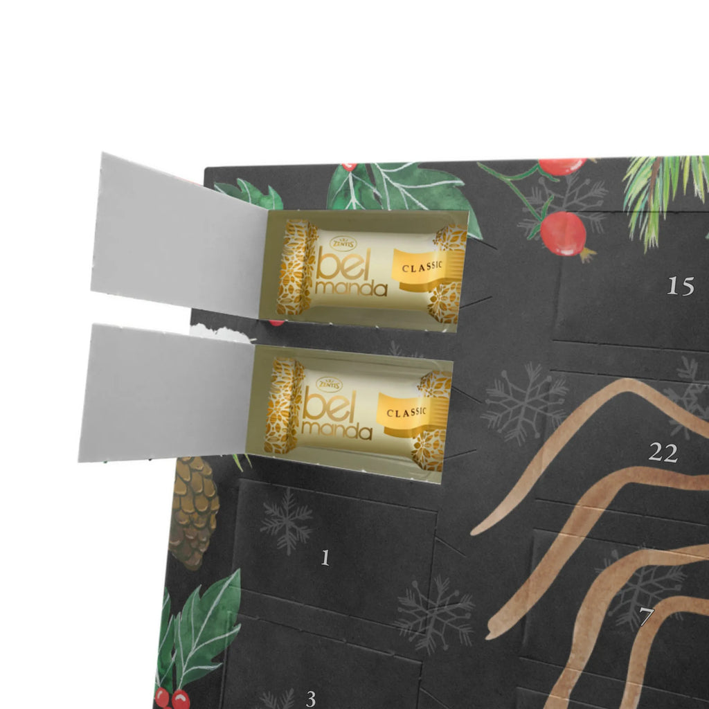 Personalisierter Marzipan Adventskalender Spinne Agathe Freude Personalisierter Marzipan Adventskalender, Spinne Agathe, Spinne, Agathe, Videos, Merchandise, Viral, Viraler Hit, Trend, Beliebte Spinne