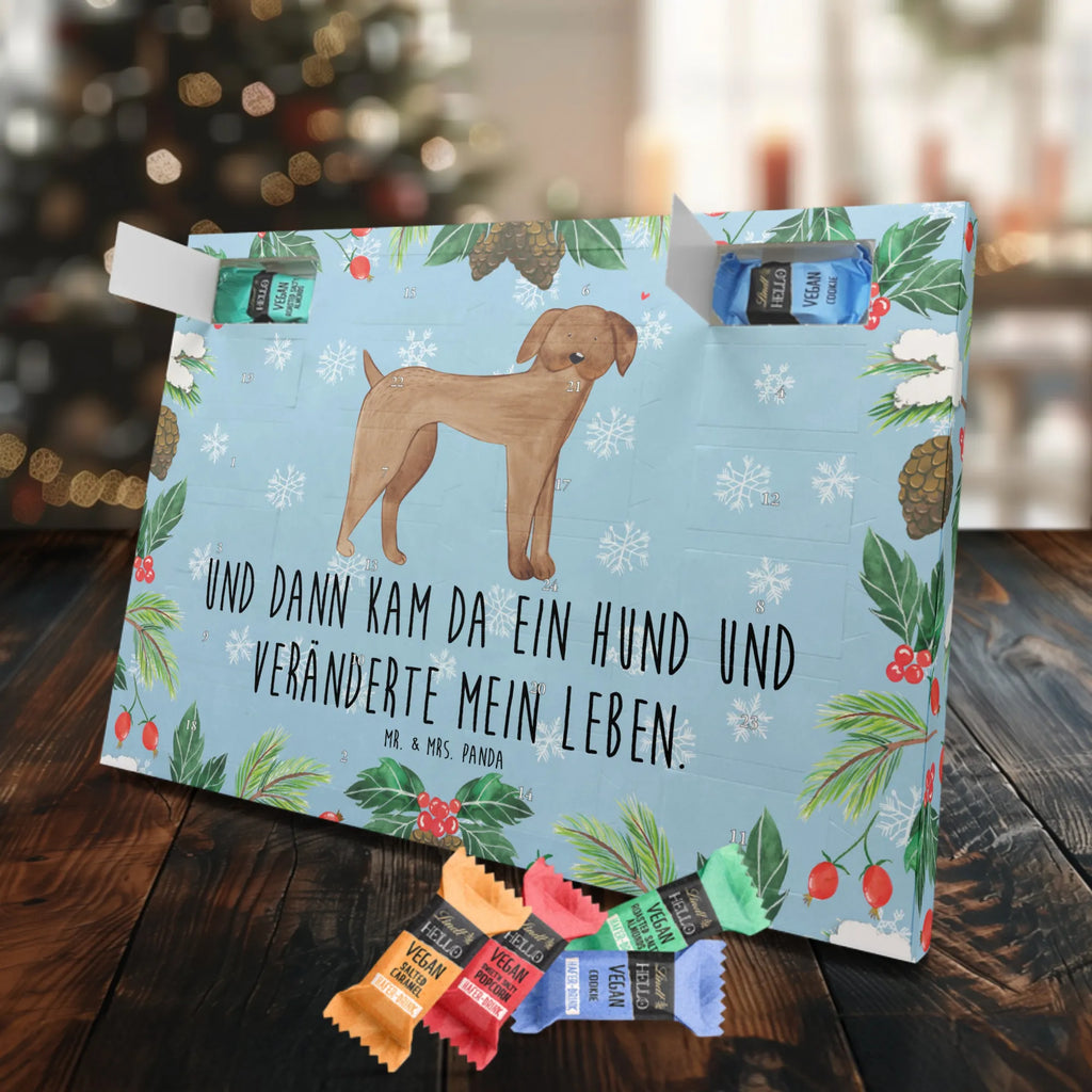 Veganer Adventskalender Hund Dogge Schokoladen Adventskalender, Hund, Hundemotiv, Haustier, Hunderasse, Tierliebhaber, Hundebesitzer, Sprüche, Hunde, Dogge, Deutsche Dogge, Great Dane