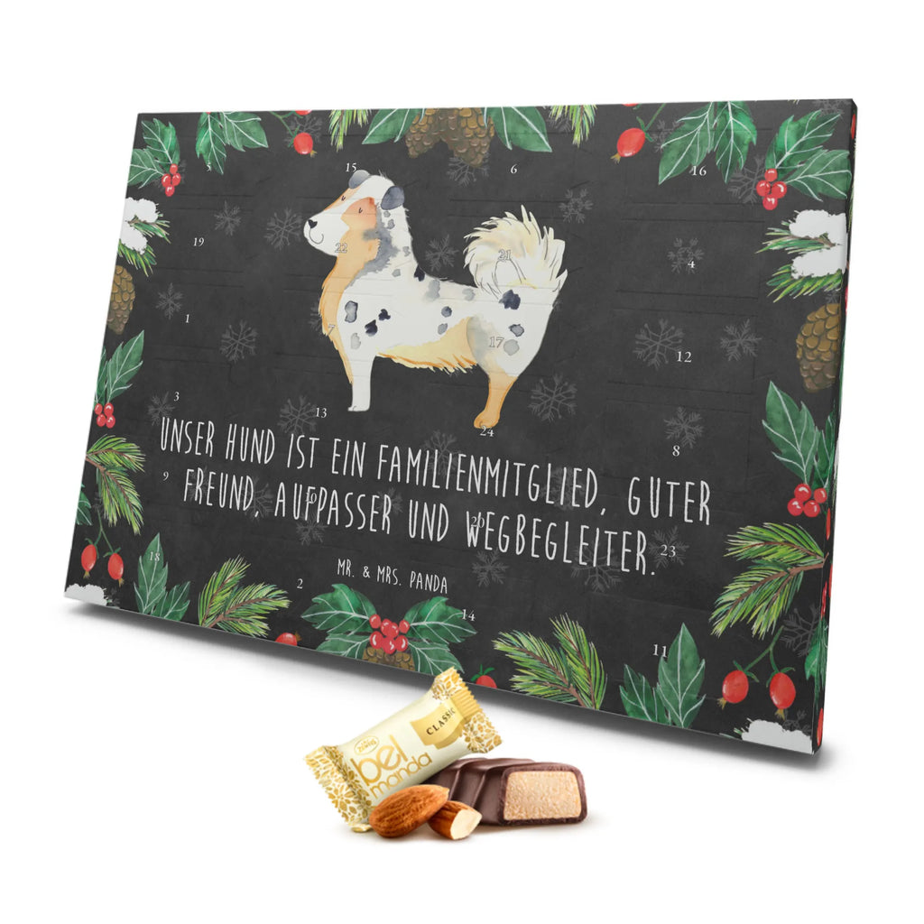 Marzipan Adventskalender Hund Australien Shepherd Marzipan Adventskalender, Hund, Hundemotiv, Haustier, Hunderasse, Tierliebhaber, Hundebesitzer, Sprüche, Australien Shepherd, Shepherd, Hundeliebe, Familienhund, Spruch