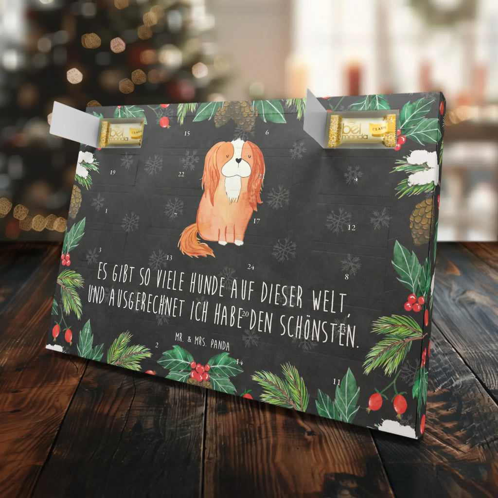 Marzipan Adventskalender Hund Cavalier King Charles Spaniel Marzipan Adventskalender, Hund, Hundemotiv, Haustier, Hunderasse, Tierliebhaber, Hundebesitzer, Sprüche, Cavalier King Charles Spaniel, Cockerspaniel, Spaniel, Spruch, schönster Hund