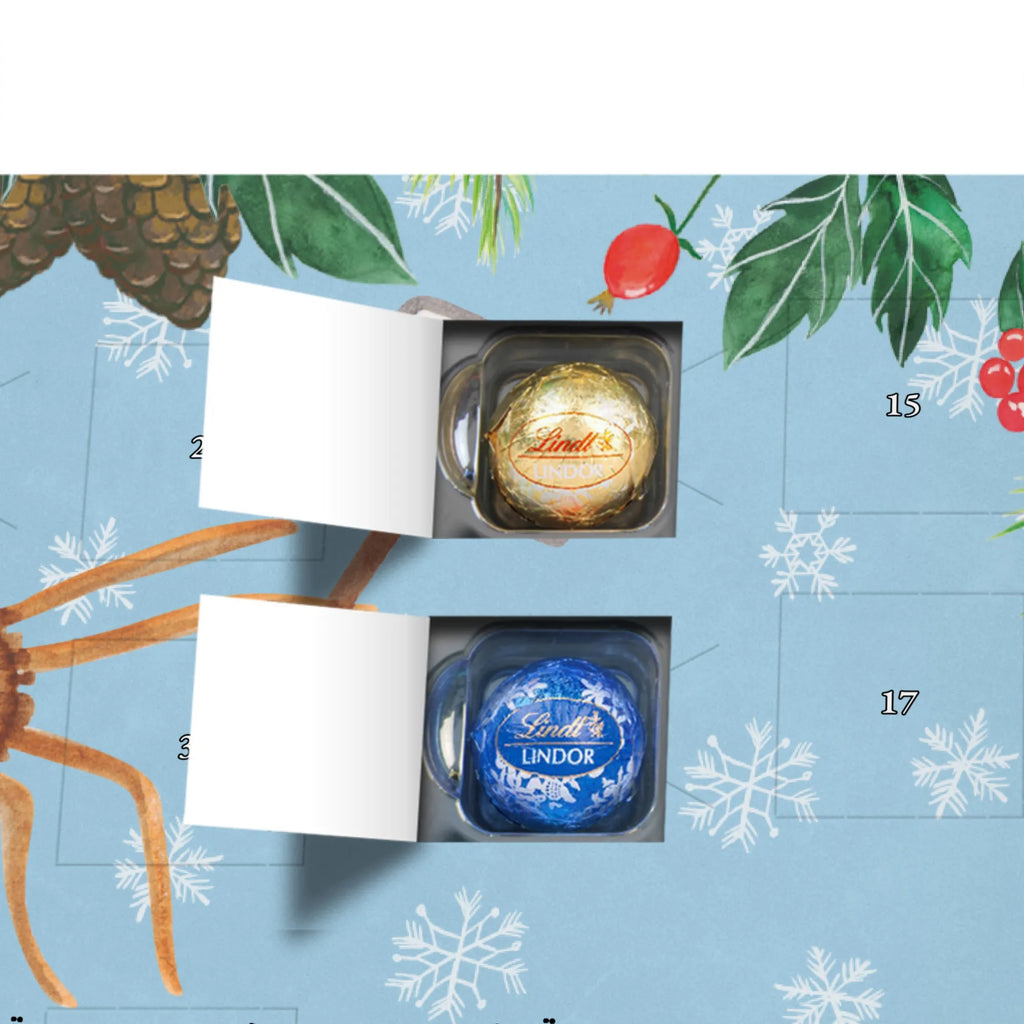 Kugel Markenschokolade Adventskalender Spinne Agathe Motivation Adventskalender, Weihnachtskalender, Kalender, Weihnachten, Schokoladen Adventskalender, Kugel Markenschokolade Adventskalender, Spinne Agathe, Spinne, Agathe, Videos, Merchandise, Motivation, Glück, Liebe, Vertrauen, Dankeschön