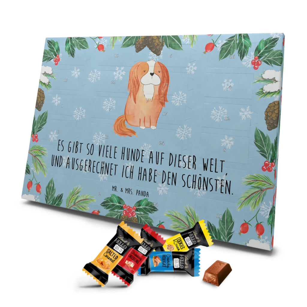 Markenschokolade Adventskalender Hund Cavalier King Charles Spaniel Adventskalender, Weihnachtskalender, Markenschokolade Adventskalender, Hund, Hundemotiv, Haustier, Hunderasse, Tierliebhaber, Hundebesitzer, Sprüche, Cavalier King Charles Spaniel, Cockerspaniel, Spaniel, Spruch, schönster Hund