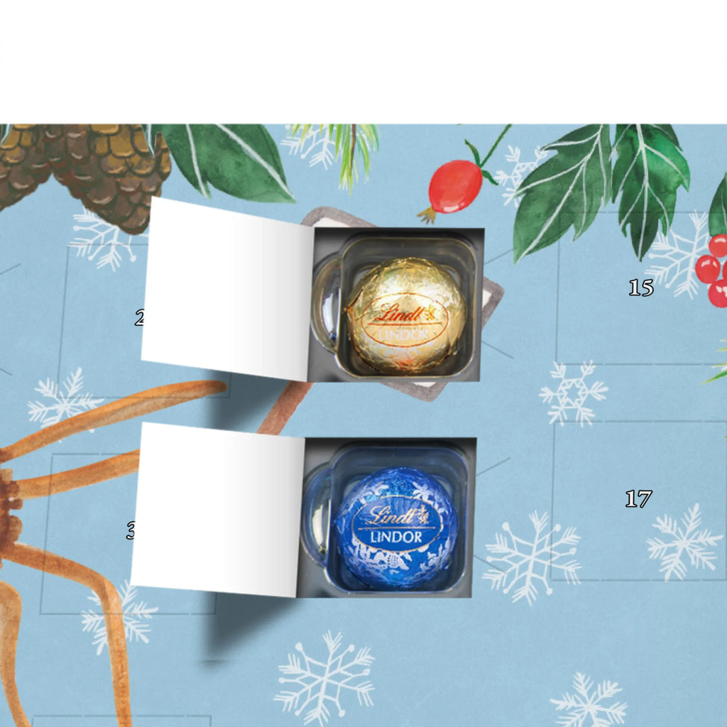 Personalisierter Kugel Markenschokolade Adventskalender Spinne Agathe Motivation Personalisierter Kugel Markenschokolade Adventskalender, Spinne Agathe, Spinne, Agathe, Videos, Merchandise, Motivation, Glück, Liebe, Vertrauen, Dankeschön