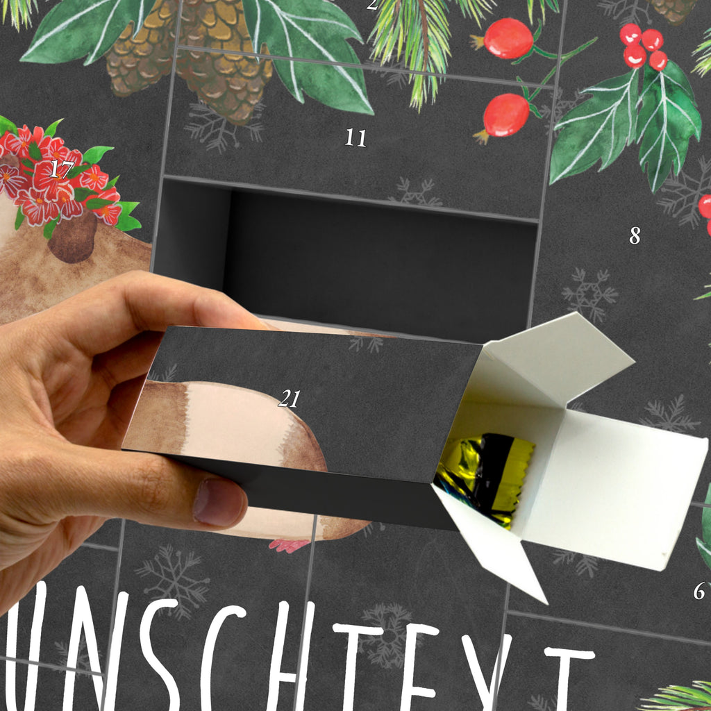 Personalisierter Befüllbarer Adventskalender Meerschweinchen Weisheit Befüllbarer Adventskalender, Adventskalender zum selbst befüllen, Tiermotive, Gute Laune, lustige Sprüche, Tiere, Meerschweinchen, Meerie, Meeries, Wunder, Blumenkind, Realität, Spruch, Weisheit, Motivation, Wunderland