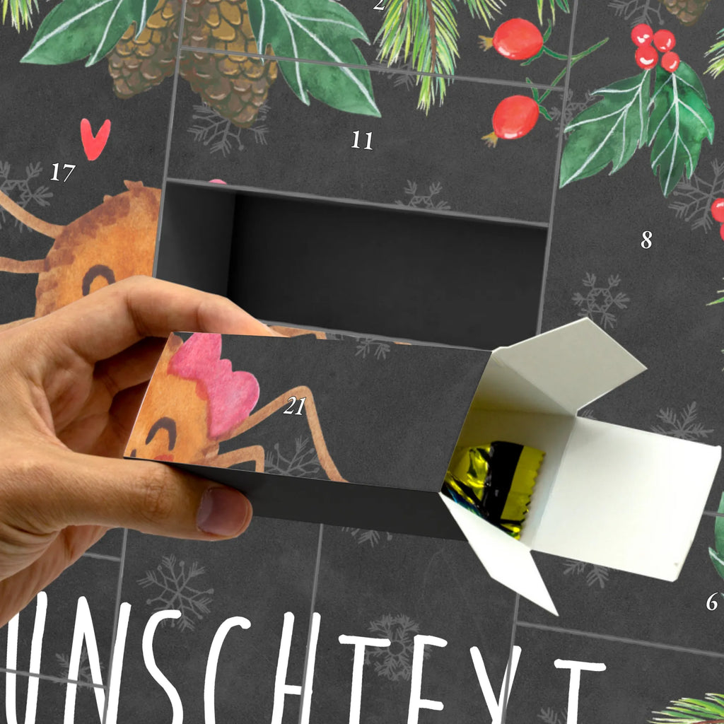 Personalisierter Befüllbarer Adventskalender Spinne Agathe Freude Befüllbarer Adventskalender, Adventskalender zum selbst befüllen, Spinne Agathe, Spinne, Agathe, Videos, Merchandise, Viral, Viraler Hit, Trend, Beliebte Spinne