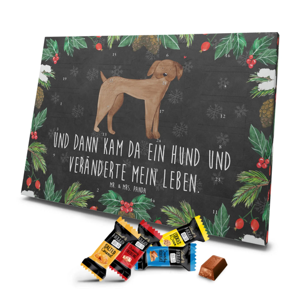 Markenschokolade Adventskalender Hund Dogge Adventskalender, Weihnachtskalender, Markenschokolade Adventskalender, Hund, Hundemotiv, Haustier, Hunderasse, Tierliebhaber, Hundebesitzer, Sprüche, Hunde, Dogge, Deutsche Dogge, Great Dane