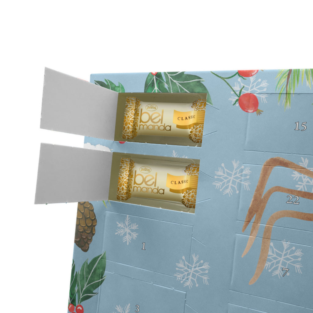 Marzipan Adventskalender Spinne Agathe Kaffee Marzipan Adventskalender, Spinne Agathe, Spinne, Agathe, Videos, Merchandise, Kaffee, Morgen, Morgenmuffel, Lebensweisheiten, Weiser Spruch