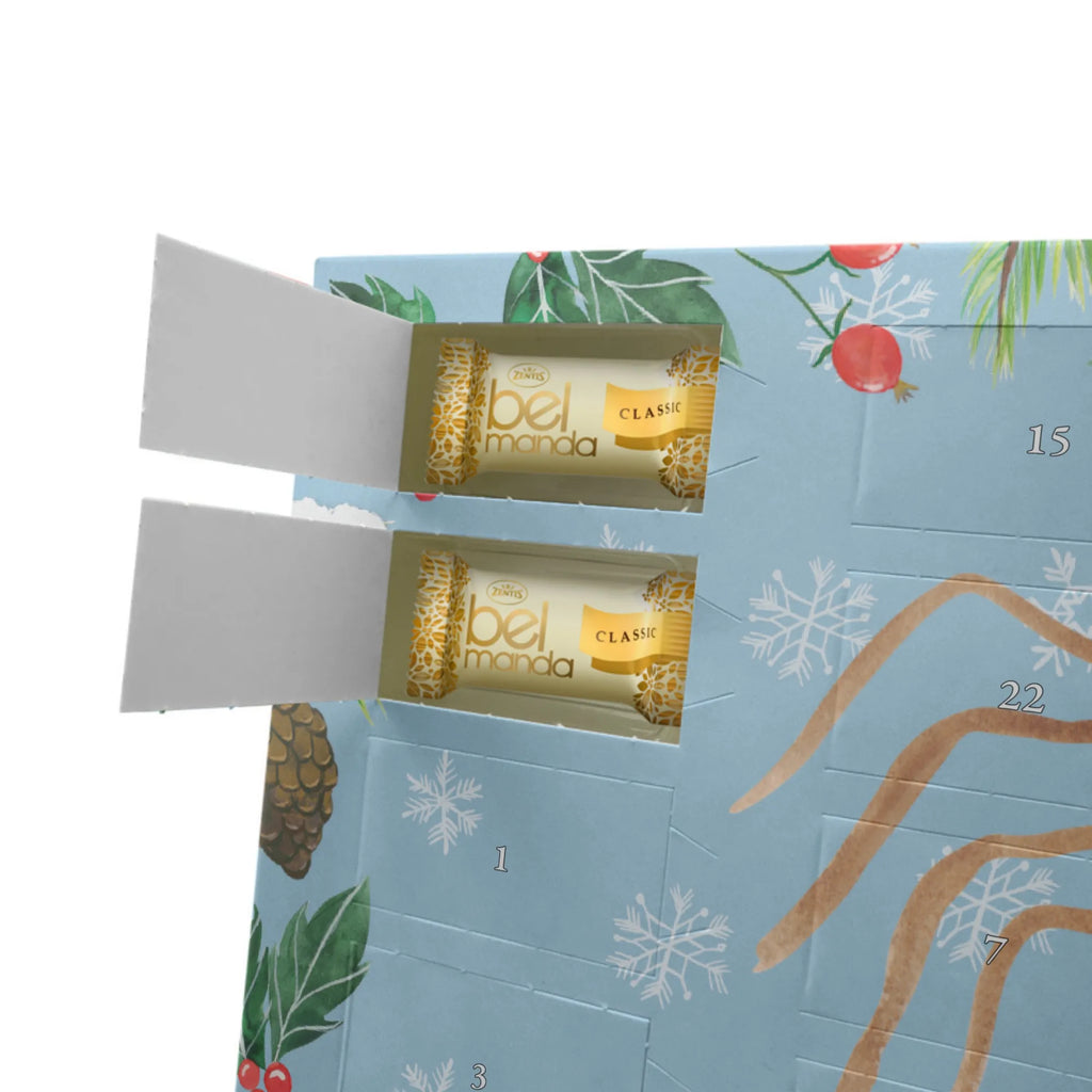 Marzipan Adventskalender Spinne Agathe Freude Marzipan Adventskalender, Spinne Agathe, Spinne, Agathe, Videos, Merchandise, Viral, Viraler Hit, Trend, Beliebte Spinne