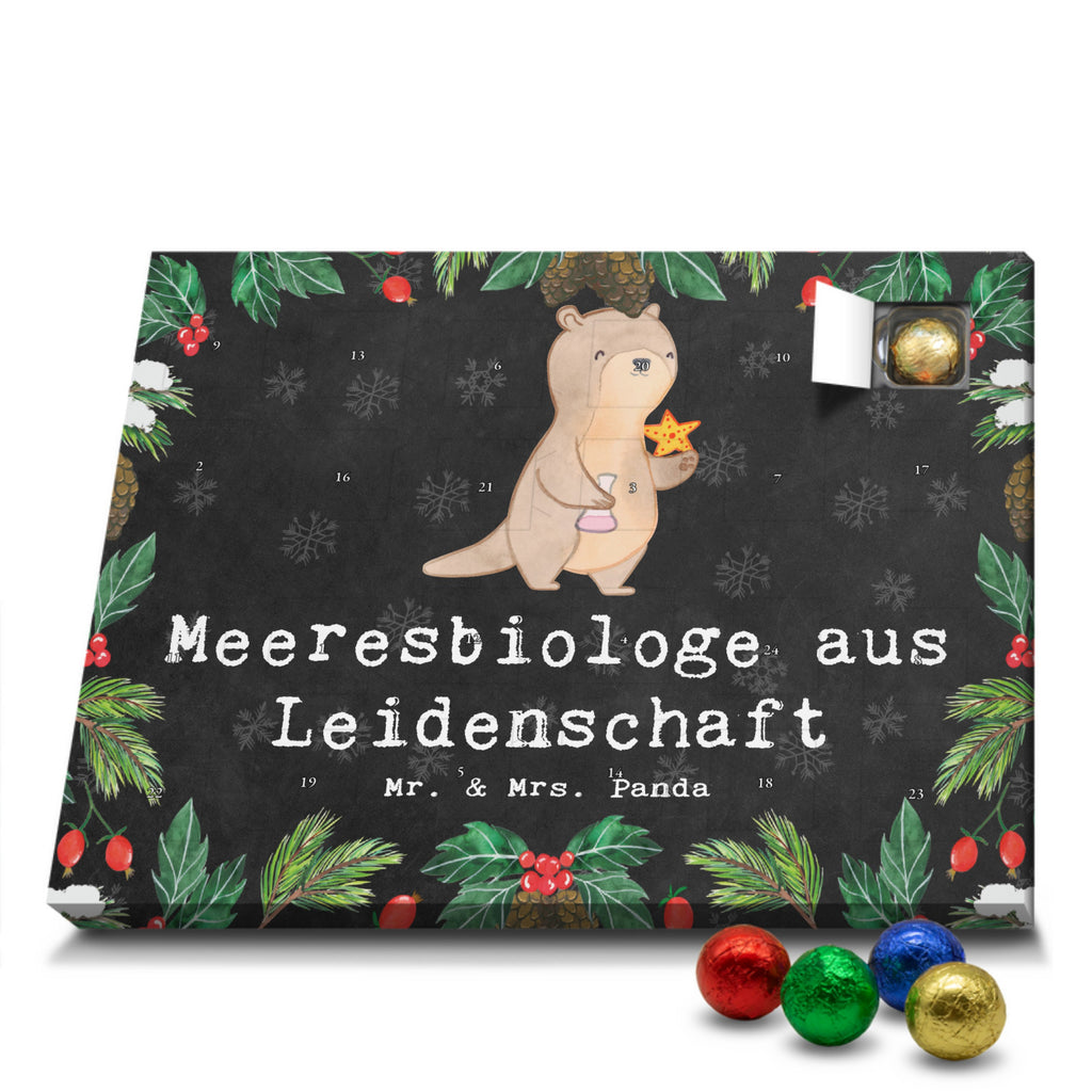 Schoko Adventskalender Meeresbiologe Leidenschaft Adventskalender, Schokoladen Adventskalender, Schoko Adventskalender, Beruf, Ausbildung, Jubiläum, Abschied, Rente, Kollege, Kollegin, Geschenk, Schenken, Arbeitskollege, Mitarbeiter, Firma, Danke, Dankeschön, Meeresbiologe, Meereskundler, Naturwissenschaftler, Meeresforscher, maritime Forschung, Studium