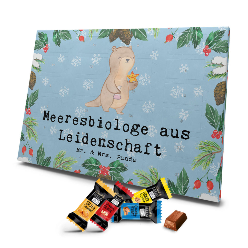 Markenschokolade Adventskalender Meeresbiologe Leidenschaft Adventskalender, Weihnachtskalender, Markenschokolade Adventskalender, Beruf, Ausbildung, Jubiläum, Abschied, Rente, Kollege, Kollegin, Geschenk, Schenken, Arbeitskollege, Mitarbeiter, Firma, Danke, Dankeschön, Meeresbiologe, Meereskundler, Naturwissenschaftler, Meeresforscher, maritime Forschung, Studium