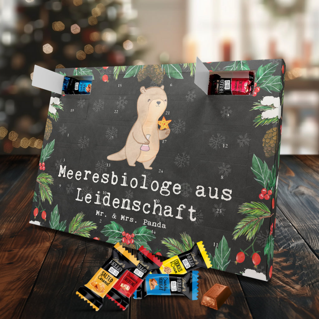 Markenschokolade Adventskalender Meeresbiologe Leidenschaft Adventskalender, Weihnachtskalender, Markenschokolade Adventskalender, Beruf, Ausbildung, Jubiläum, Abschied, Rente, Kollege, Kollegin, Geschenk, Schenken, Arbeitskollege, Mitarbeiter, Firma, Danke, Dankeschön, Meeresbiologe, Meereskundler, Naturwissenschaftler, Meeresforscher, maritime Forschung, Studium