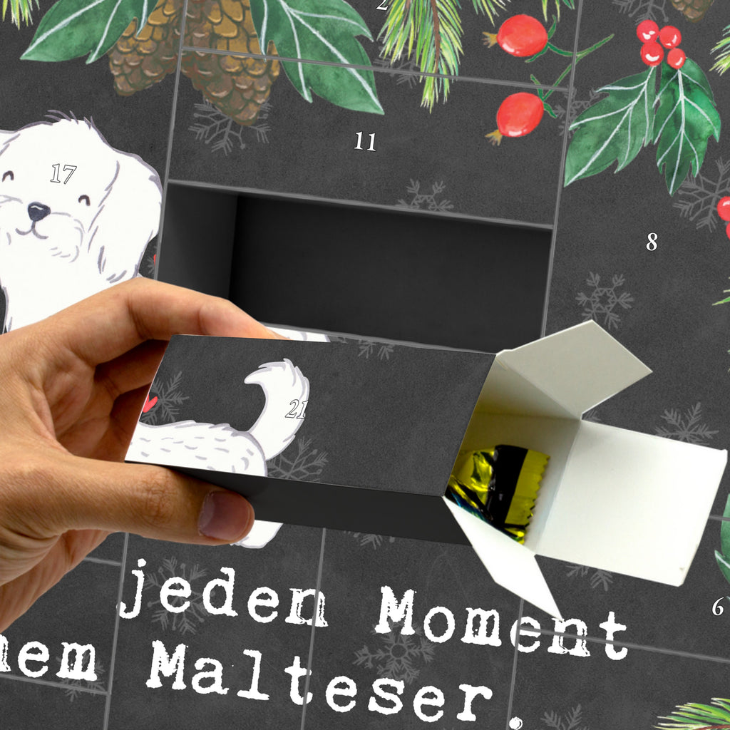 Befüllbarer Adventskalender Malteser Moment Befüllbarer Adventskalender, Adventskalender zum selbst befüllen, Hund, Hunderasse, Rassehund, Hundebesitzer, Geschenk, Tierfreund, Schenken, Welpe, Malteser