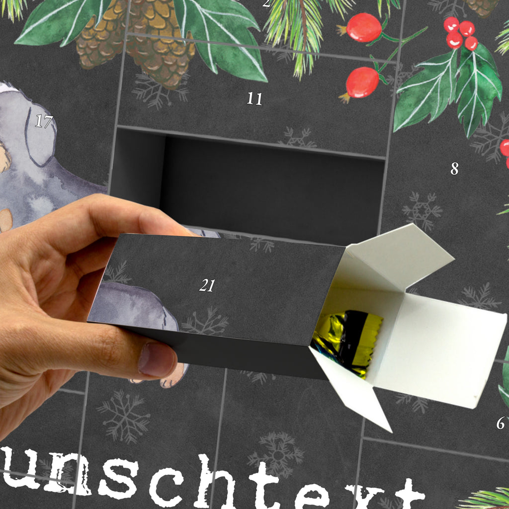 Personalisierter Befüllbarer Adventskalender Berner Sennenhund Moment Befüllbarer Adventskalender, Adventskalender zum selbst befüllen, Hund, Hunderasse, Rassehund, Hundebesitzer, Geschenk, Tierfreund, Schenken, Welpe, Dürrbächler, Berner Sennenhund