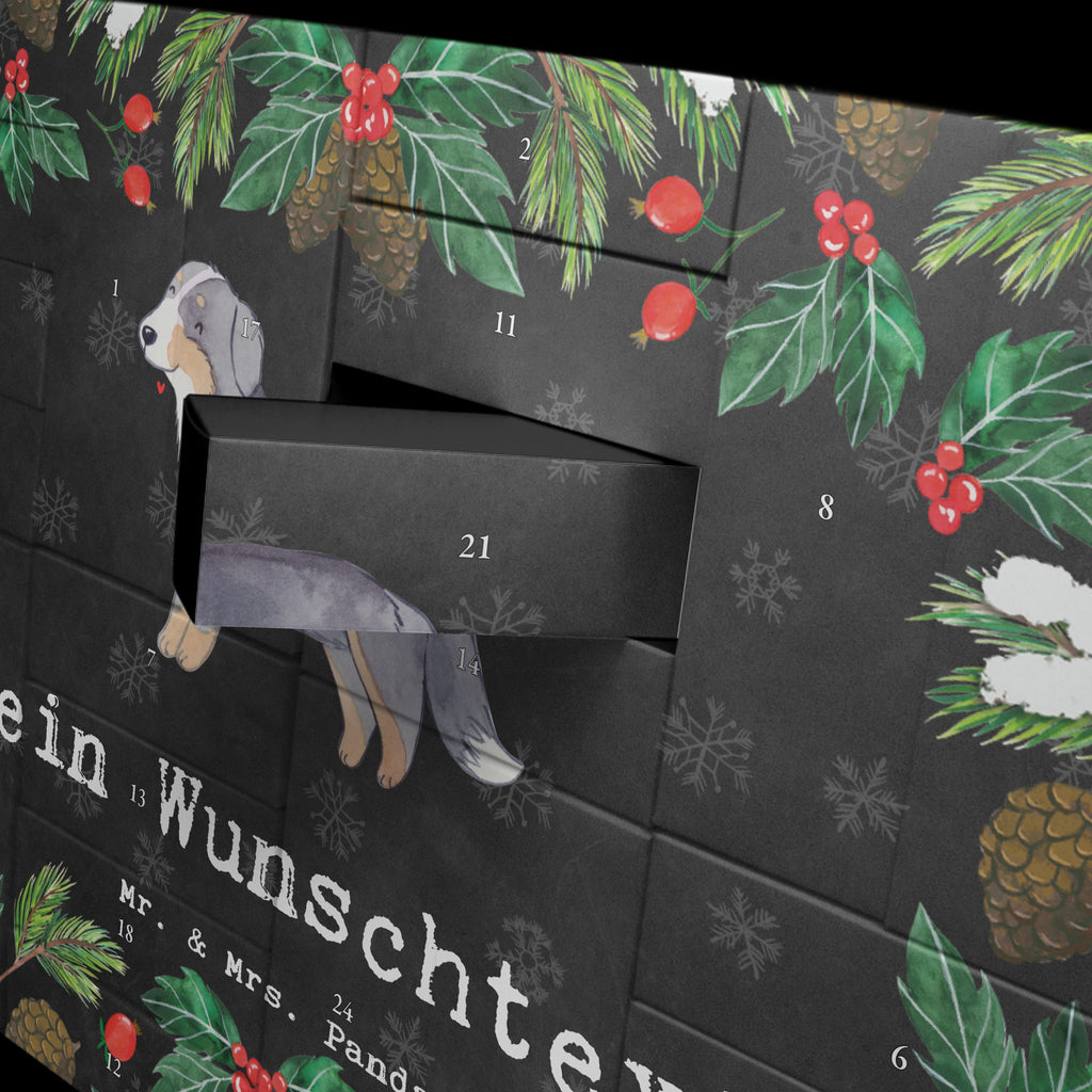 Personalisierter Befüllbarer Adventskalender Berner Sennenhund Moment Befüllbarer Adventskalender, Adventskalender zum selbst befüllen, Hund, Hunderasse, Rassehund, Hundebesitzer, Geschenk, Tierfreund, Schenken, Welpe, Dürrbächler, Berner Sennenhund