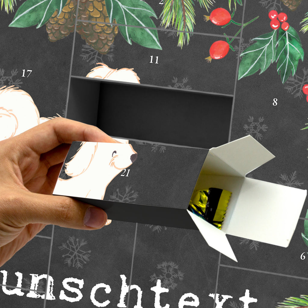 Personalisierter Befüllbarer Adventskalender Havaneser Moment Befüllbarer Adventskalender, Adventskalender zum selbst befüllen, Hund, Hunderasse, Rassehund, Hundebesitzer, Geschenk, Tierfreund, Schenken, Welpe, Havaneser, Havi, Bichon Havanais, Bichón Habanero