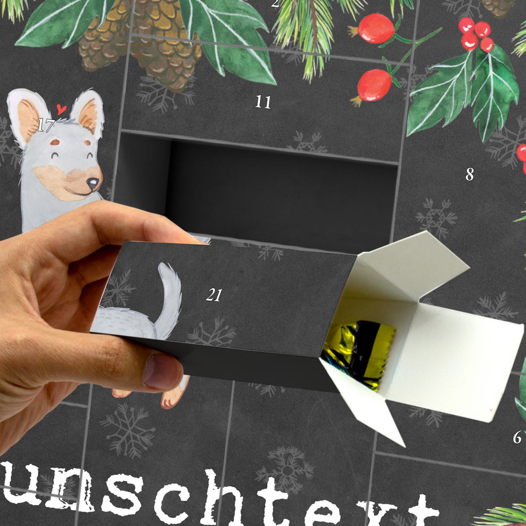 Personalisierter Befüllbarer Adventskalender Prager Rattler Moment Befüllbarer Adventskalender, Adventskalender zum selbst befüllen, Hund, Hunderasse, Rassehund, Hundebesitzer, Geschenk, Tierfreund, Schenken, Welpe, Pincher, Prager Rattler