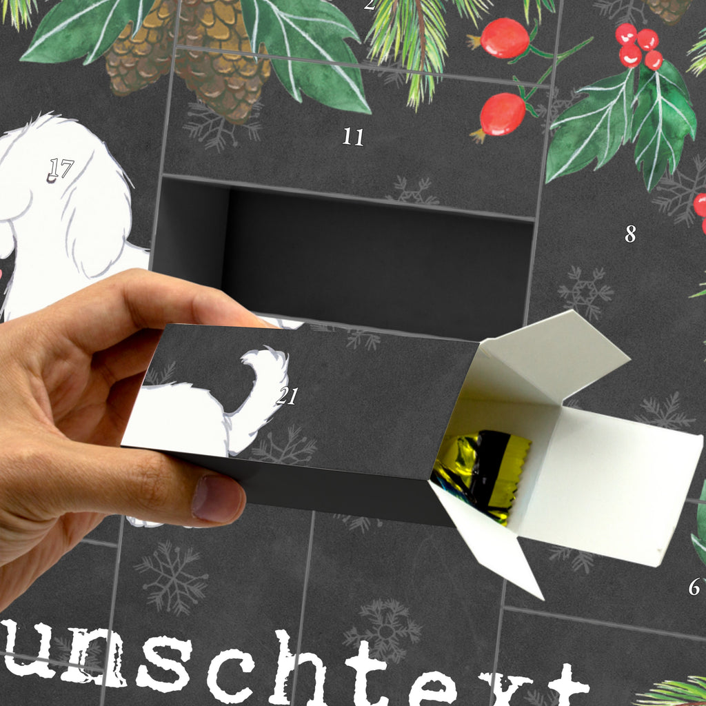 Personalisierter Befüllbarer Adventskalender Bologneser Moment Befüllbarer Adventskalender, Adventskalender zum selbst befüllen, Hund, Hunderasse, Rassehund, Hundebesitzer, Geschenk, Tierfreund, Schenken, Welpe, Bologneser