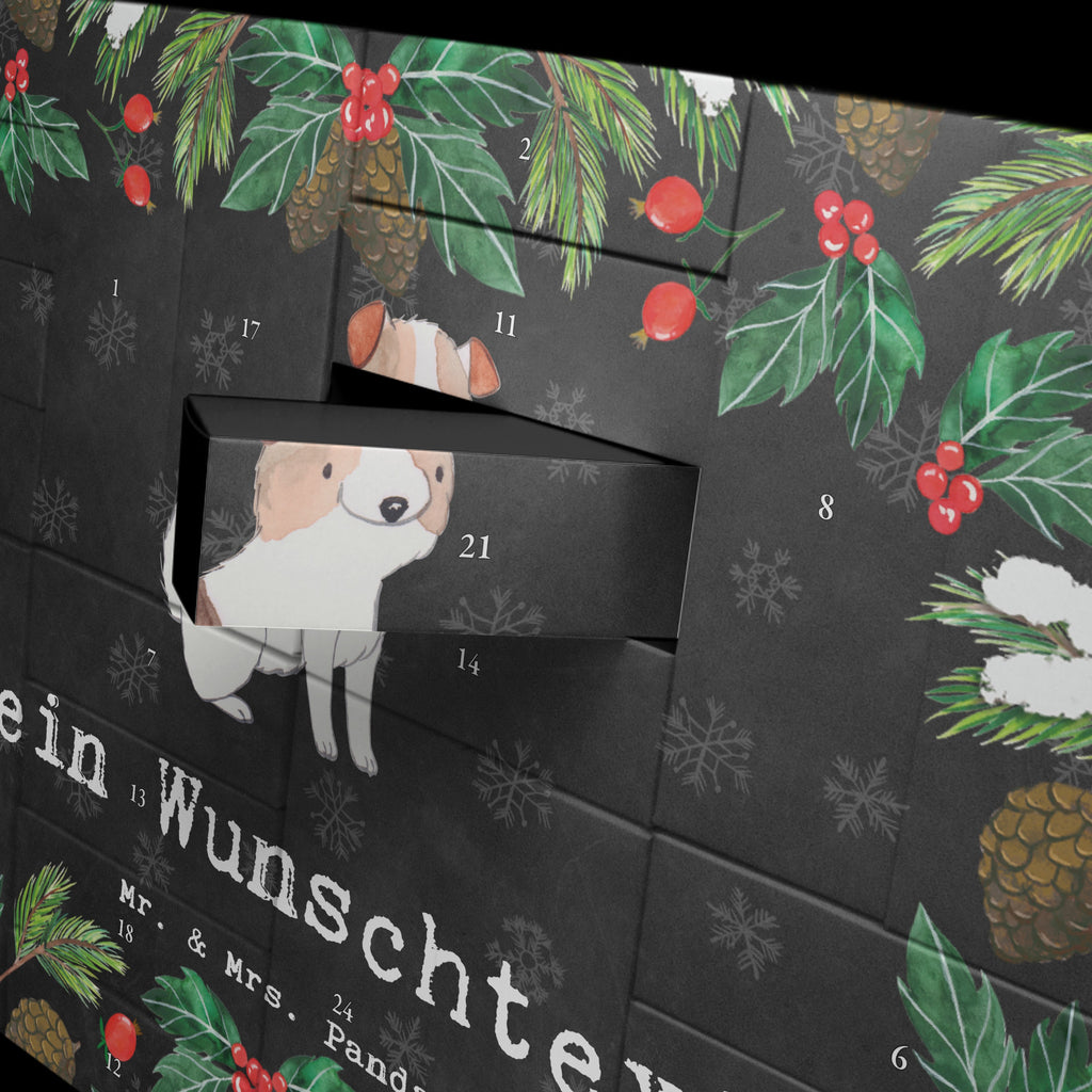 Personalisierter Befüllbarer Adventskalender Jack Russell Terrier Moment Befüllbarer Adventskalender, Adventskalender zum selbst befüllen, Hund, Hunderasse, Rassehund, Hundebesitzer, Geschenk, Tierfreund, Schenken, Welpe, Jack Russell Terrier