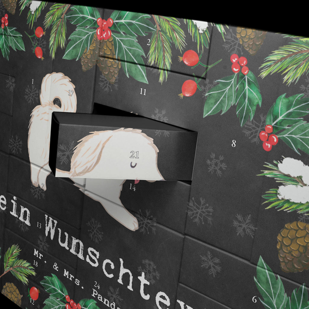 Personalisierter Befüllbarer Adventskalender Maltipoo Moment Befüllbarer Adventskalender, Adventskalender zum selbst befüllen, Hund, Hunderasse, Rassehund, Hundebesitzer, Geschenk, Tierfreund, Schenken, Welpe, Maltipoo, Kreuzung, Mischling