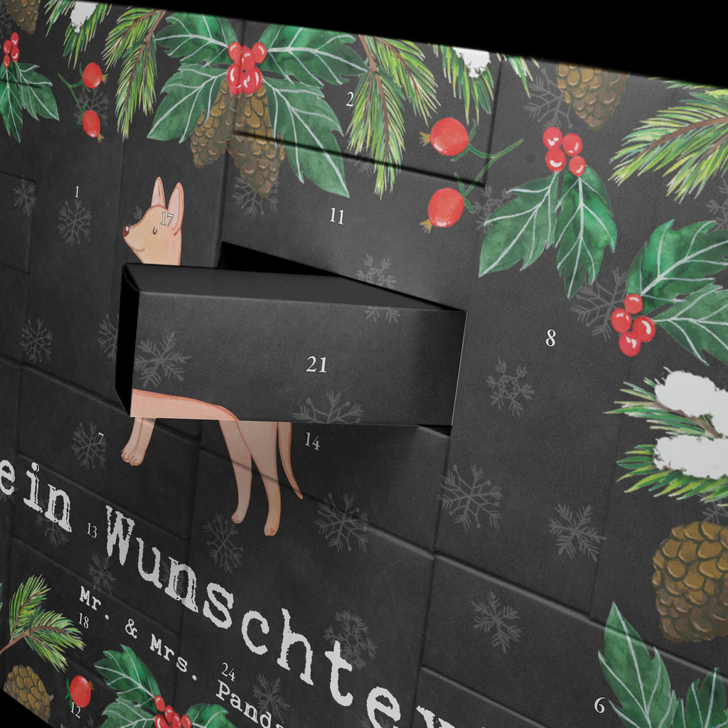 Personalisierter Befüllbarer Adventskalender Pharaonenhund Moment Befüllbarer Adventskalender, Adventskalender zum selbst befüllen, Hund, Hunderasse, Rassehund, Hundebesitzer, Geschenk, Tierfreund, Schenken, Welpe, Pharaonenhund, Pharaoh Hound, Kelb tal-Fenek