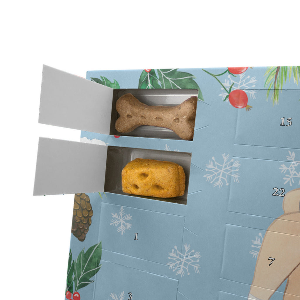 Personalisierter Hunde Adventskalender Basenji Moment Hunde Adventskalender, Hund, Hunderasse, Rassehund, Hundebesitzer, Geschenk, Tierfreund, Schenken, Welpe, Kongo-Terrier, Basenji