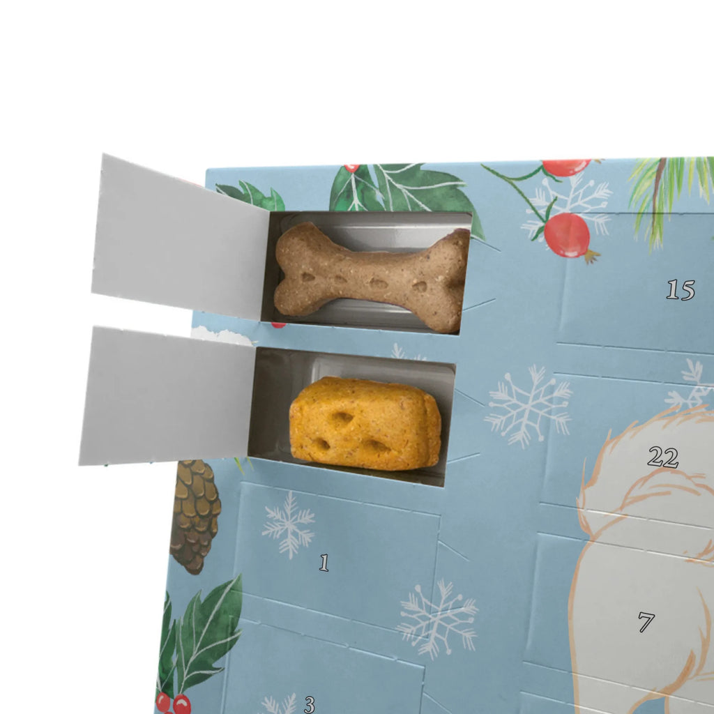 Personalisierter Hunde Adventskalender Havaneser Moment Hunde Adventskalender, Hund, Hunderasse, Rassehund, Hundebesitzer, Geschenk, Tierfreund, Schenken, Welpe, Havaneser, Havi, Bichon Havanais, Bichón Habanero