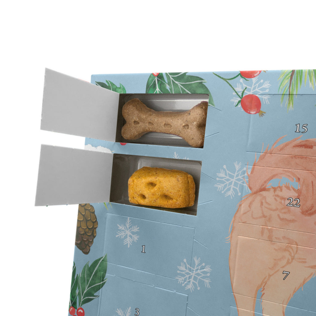 Personalisierter Hunde Adventskalender Cavapoo Moment Hunde Adventskalender, Hund, Hunderasse, Rassehund, Hundebesitzer, Geschenk, Tierfreund, Schenken, Welpe, Cavapoo, Cavoodle