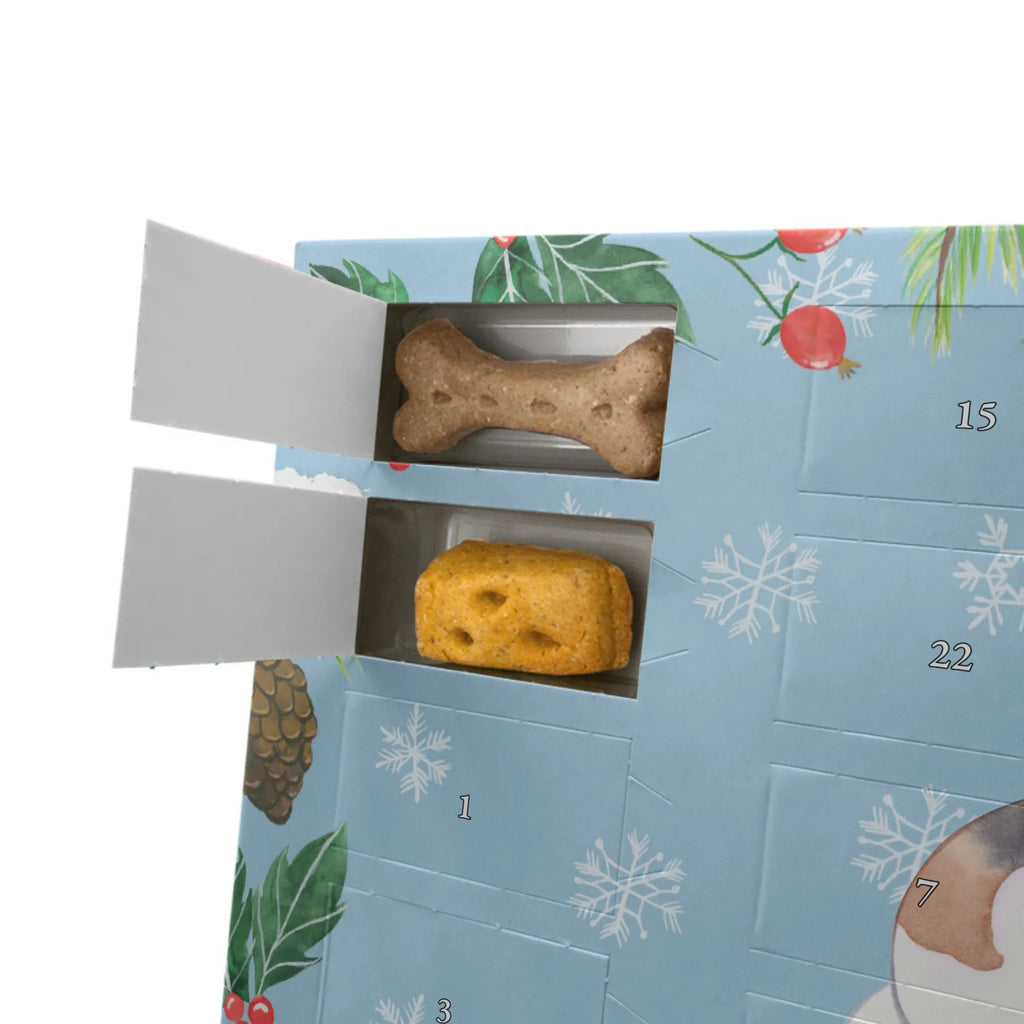 Personalisierter Hunde Adventskalender Foxhound Moment Hunde Adventskalender, Hund, Hunderasse, Rassehund, Hundebesitzer, Geschenk, Tierfreund, Schenken, Welpe, Foxhound, Jagdhund, Laufhund