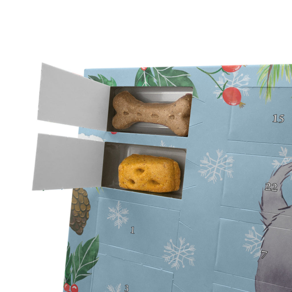 Personalisierter Hunde Adventskalender Affenpincher Moment Hunde Adventskalender, Hund, Hunderasse, Rassehund, Hundebesitzer, Geschenk, Tierfreund, Schenken, Welpe, Affenpincher