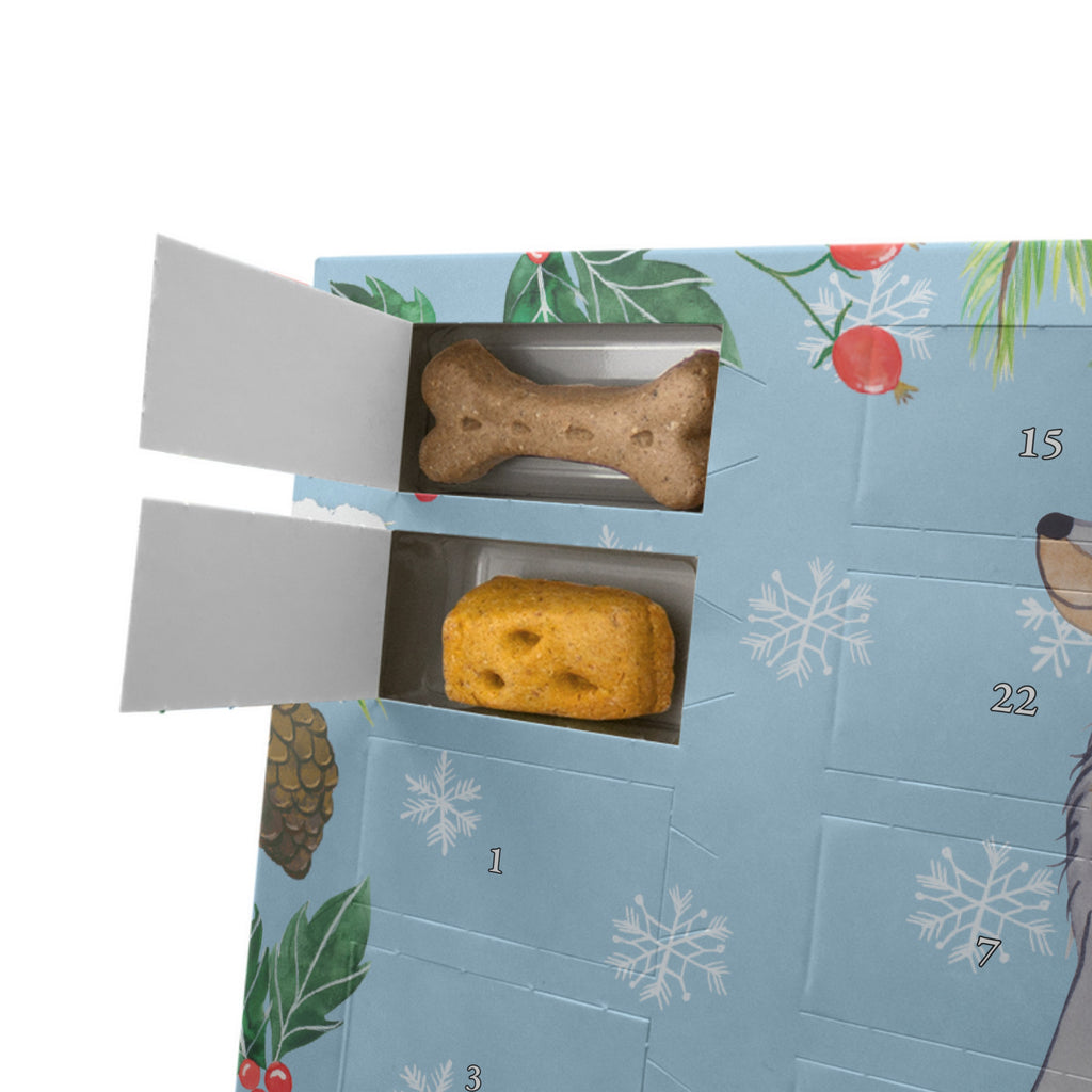 Personalisierter Hunde Adventskalender Gordon Setter Moment Hunde Adventskalender, Hund, Hunderasse, Rassehund, Hundebesitzer, Geschenk, Tierfreund, Schenken, Welpe, Gordon Shetter, Jagdhund