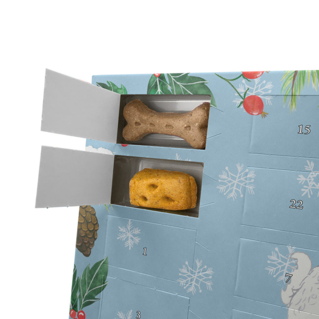 Personalisierter Hunde Adventskalender Bichon Frisé Moment Hunde Adventskalender, Hund, Hunderasse, Rassehund, Hundebesitzer, Geschenk, Tierfreund, Schenken, Welpe, Bichon Frisé