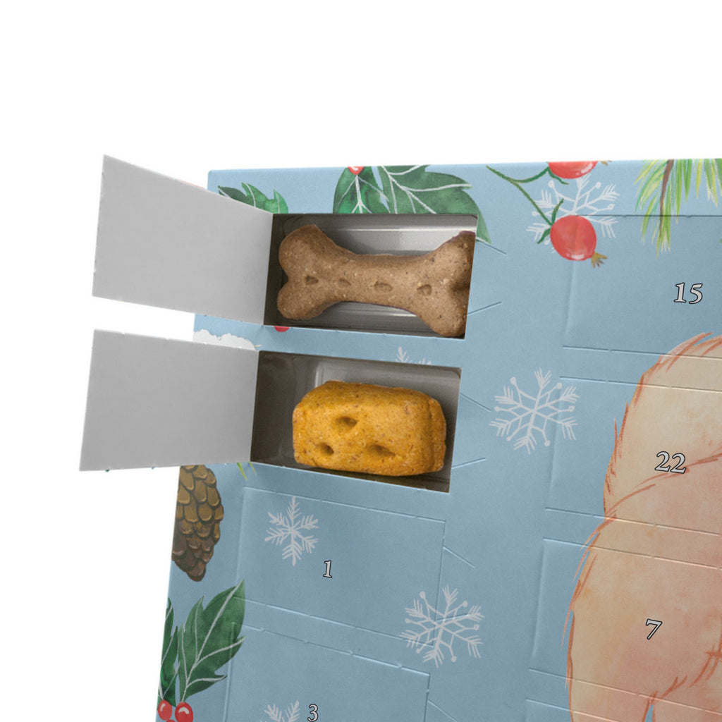 Personalisierter Hunde Adventskalender Chow-Chow Moment Hunde Adventskalender, Hund, Hunderasse, Rassehund, Hundebesitzer, Geschenk, Tierfreund, Schenken, Welpe, Chow-Chow, Asiatischer Spitz