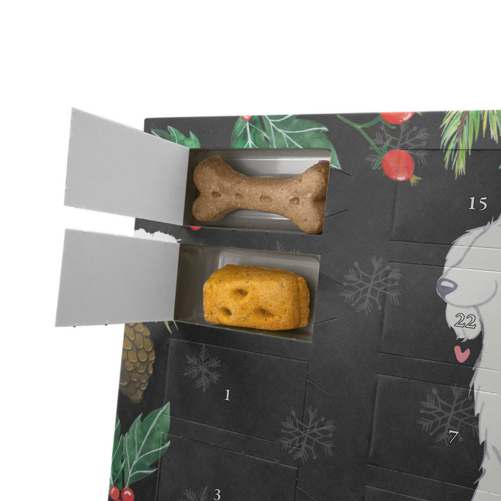 Personalisierter Hunde Adventskalender Bologneser Moment Hunde Adventskalender, Hund, Hunderasse, Rassehund, Hundebesitzer, Geschenk, Tierfreund, Schenken, Welpe, Bologneser