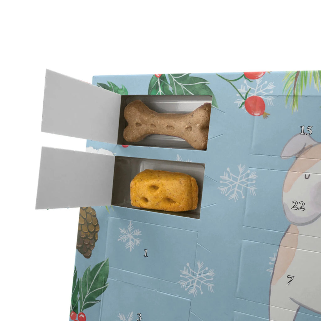 Personalisierter Hunde Adventskalender Englische Bulldogge Moment Hunde Adventskalender, Hund, Hunderasse, Rassehund, Hundebesitzer, Geschenk, Tierfreund, Schenken, Welpe, Englische Bulldogge