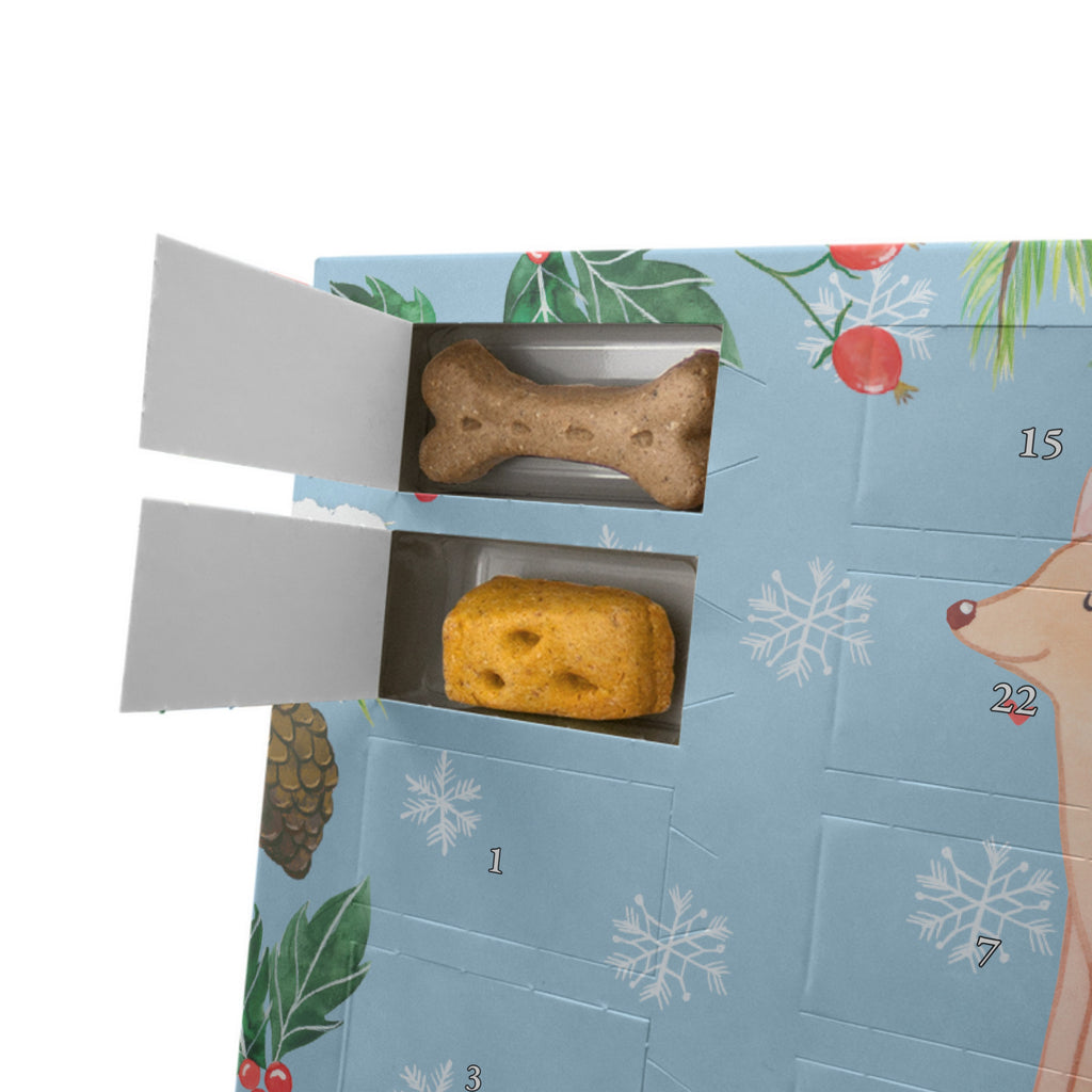 Personalisierter Hunde Adventskalender Pharaonenhund Moment Hunde Adventskalender, Hund, Hunderasse, Rassehund, Hundebesitzer, Geschenk, Tierfreund, Schenken, Welpe, Pharaonenhund, Pharaoh Hound, Kelb tal-Fenek