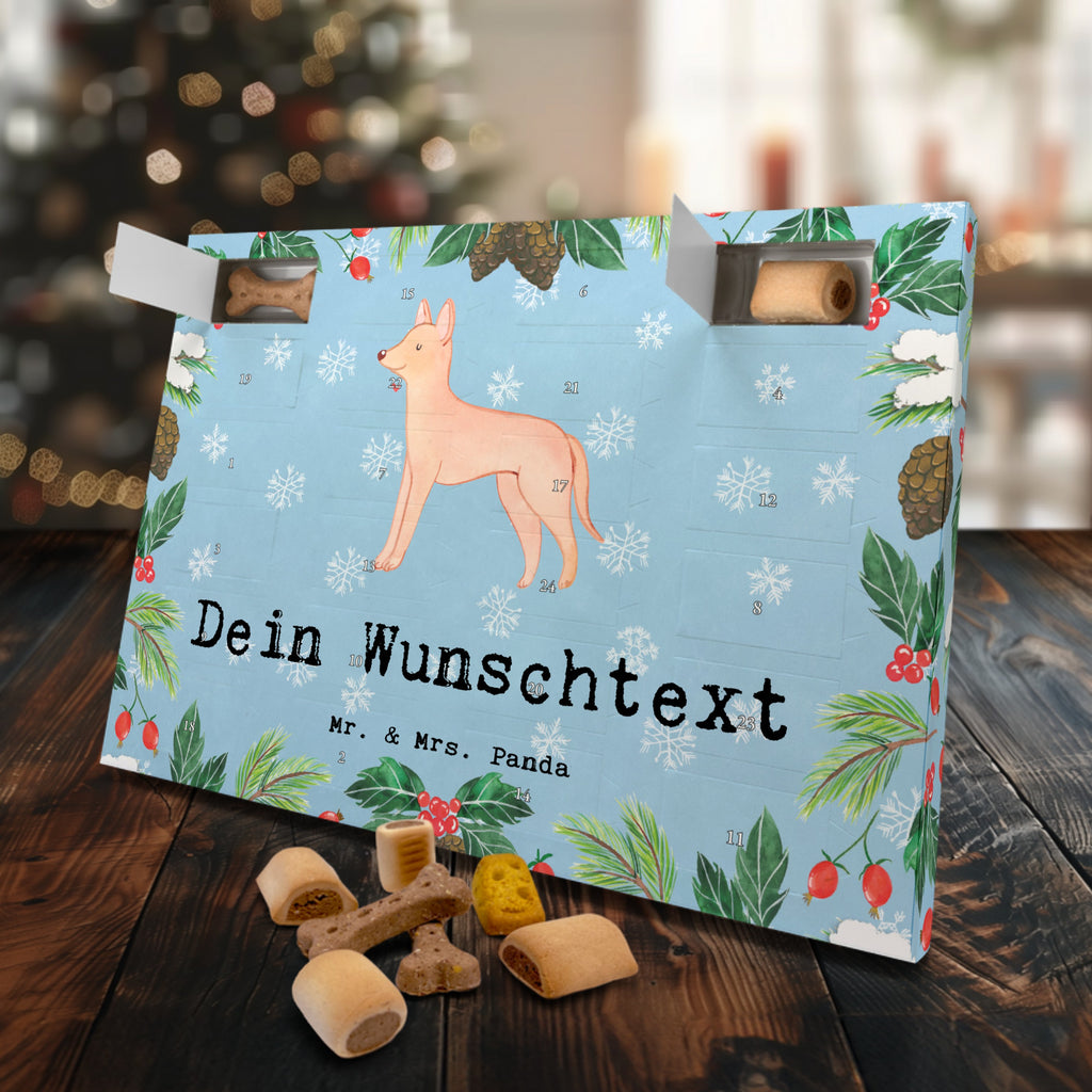 Personalisierter Hunde Adventskalender Pharaonenhund Moment Hunde Adventskalender, Hund, Hunderasse, Rassehund, Hundebesitzer, Geschenk, Tierfreund, Schenken, Welpe, Pharaonenhund, Pharaoh Hound, Kelb tal-Fenek